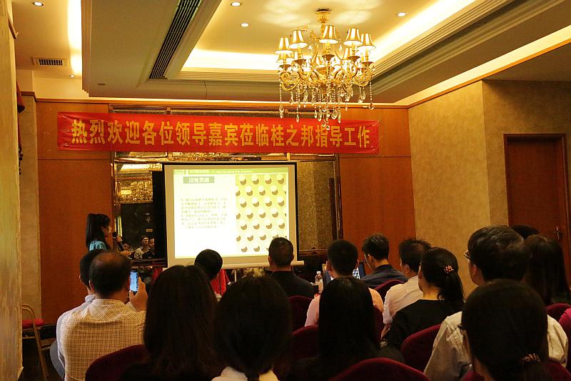 南寧桂之邦工程機(jī)械有限公司